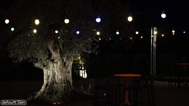 Hôtel, Savoie, Terrasse, Restaurant, Albertville, Cocktail